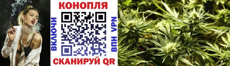 Бошки Шишки план  Абинск 